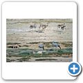 Etosha Nationalpark - Paradieskranich, Schabrackenschakal und Springböcke