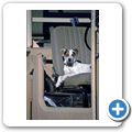 Gästefarm "Okomitundu" - Autofahrt mit Hund
