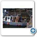 Lakevale Harbour - Hummerfischer