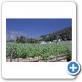 Franschhoek