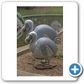 Casela Nature & Bird Park - Dodo