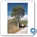 Christoffel Park