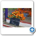 Farmstall bei Citrusdal