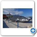 Hermanus - Whale Museum
