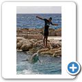 Sea Aquarium Park - Delfin-Show