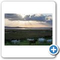 Landschaft zwischen Saligo Bay und Loch Gorm