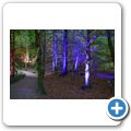 Pitlochry - Enchanted Forrest 2014