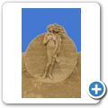 Sandskulpturen Festival 2016 - Reise rund um die Welt - Italien - "Geburt der Venus" von Botticelli