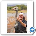 Oudtshoorn - Highgate Ostrich Show Farm