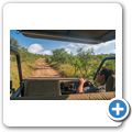 Game Drive