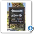 Cape Point Ostrich Farm