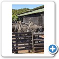 Cape Point Ostrich Farm