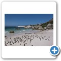 Simon's Town - Boulders Beach - Pinguin Kolonie