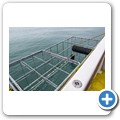 Gansbaai - Shark Cage Diving