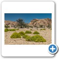 Namib-Naukluft NP - Welwitschia Drive - Swakop Rivier