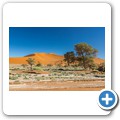Sossusvlei
