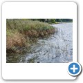 Sieseby