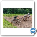 Bio-Bauernhof "Großholz"