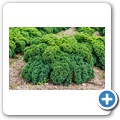 Bio-Bauernhof "Großholz"