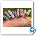 Bio-Bauernhof "Großholz"
