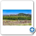 Fahrt nach Seaview - Outeniqua Hops
