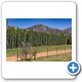 Fahrt nach Seaview - Outeniqua Hops