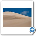 Maitland Beach Dune