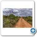 Van Stadens Wild Flower Reserve