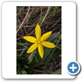Van Stadens Wild Flower Reserve