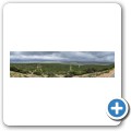 Addo NP