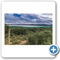 Fahrt zum Mountain Zebra NP
