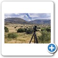 Mountain Zebra NP