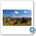 Mountain Zebra NP