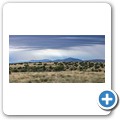 Mountain Zebra NP