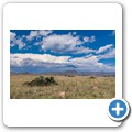Mountain Zebra NP