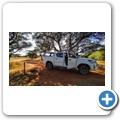 Mokala NP