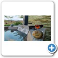 Springbok - "Liefland Luxury Units"