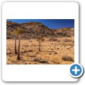 Goegap Nature Reserve