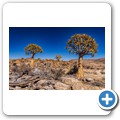 Goegap Nature Reserve