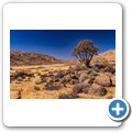 Goegap Nature Reserve