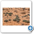 Goegap Nature Reserve