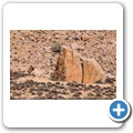 Goegap Nature Reserve