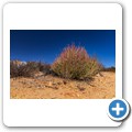 Goegap Nature Reserve