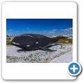 Bird Island Nature Reserve