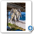Lamberts Bay - "Muisboskerm Restaurant"