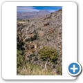 Fahrt nach Bonnievale - Michell's Pass