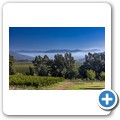 Arendsig Wine Estate