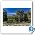 Arendsig Wine Estate