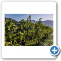 Arendsig Wine Estate