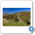 Arendsig Wine Estate